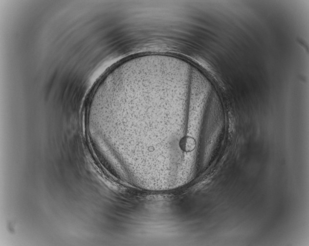 X0000100971078200807081213