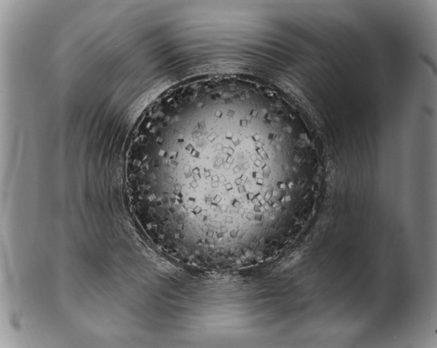 X0000100971081200807081213