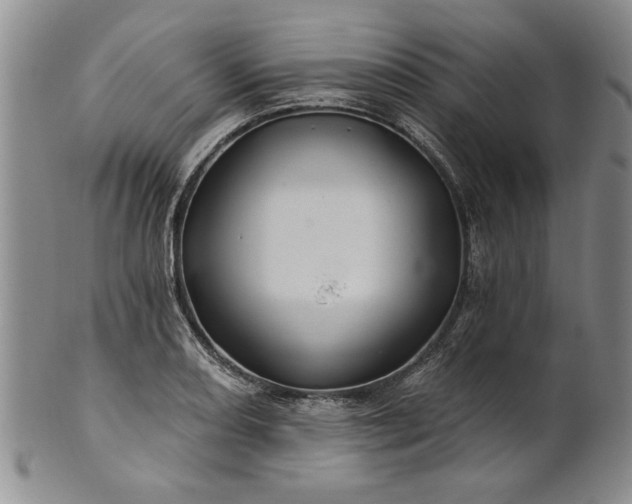 X0000100971082200807081213
