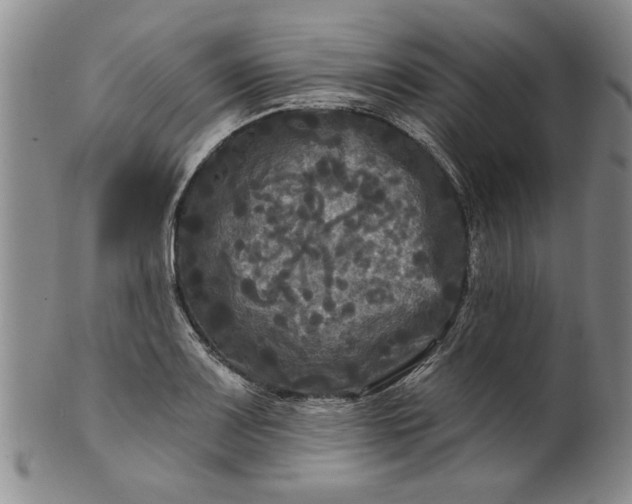 X0000100971083200807081213
