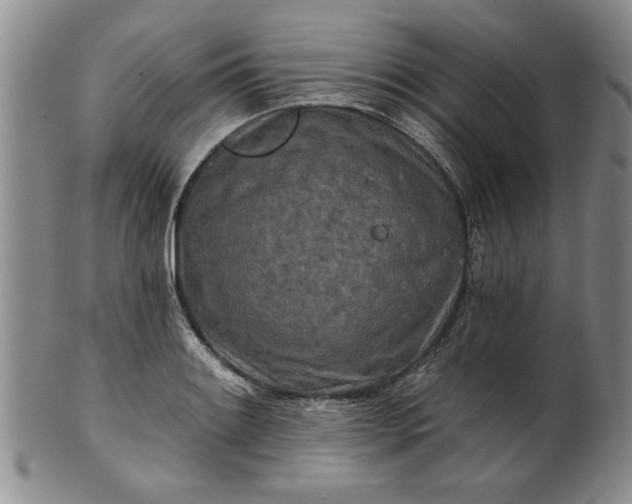 X0000100971084200807081213