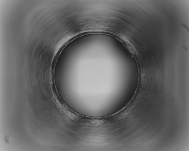 X0000100971085200807081213