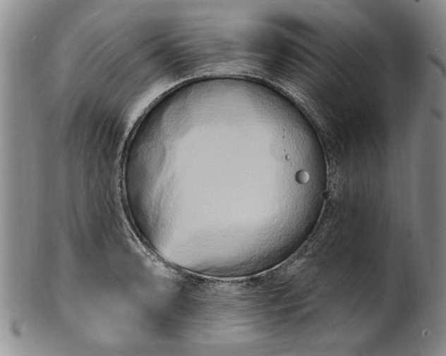X0000100971086200807081213