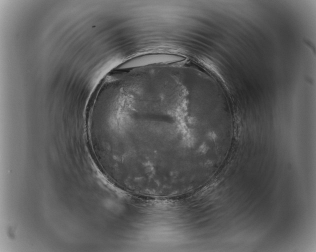 X0000100971087200807081213