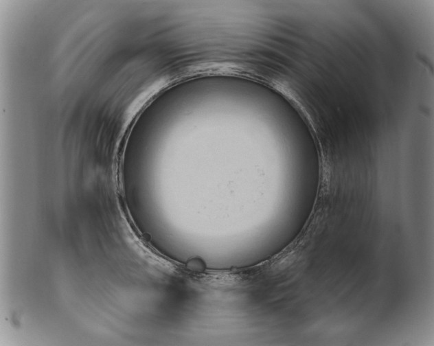X0000100971090200807081213