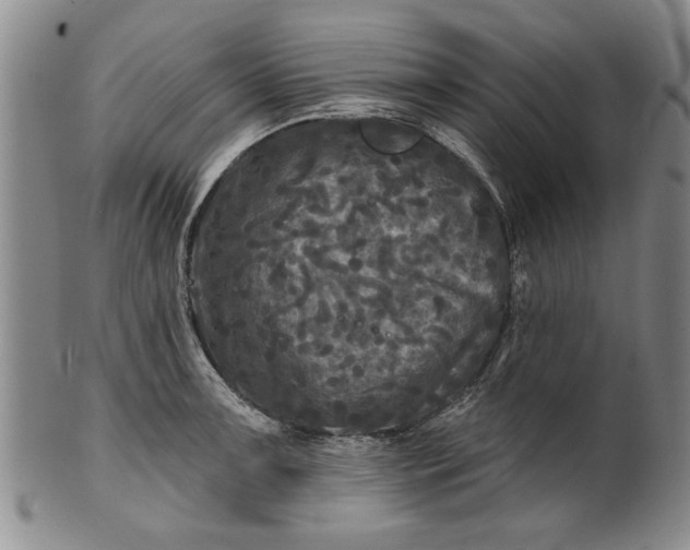 X0000100971091200807081213
