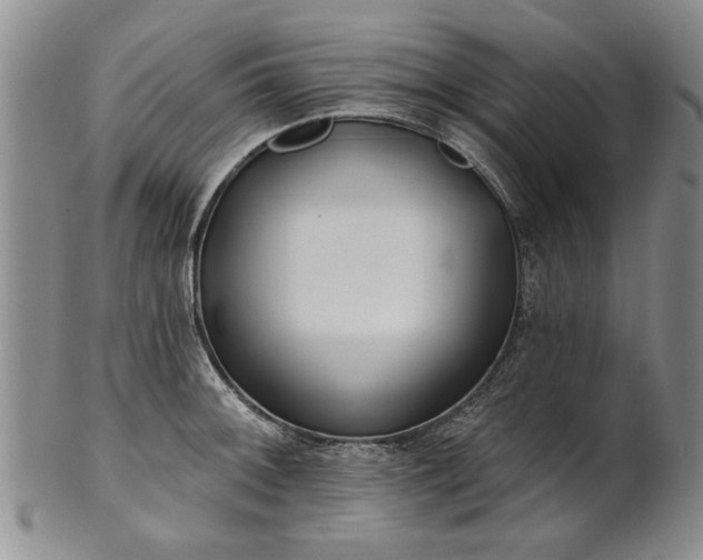 X0000100971092200807081213