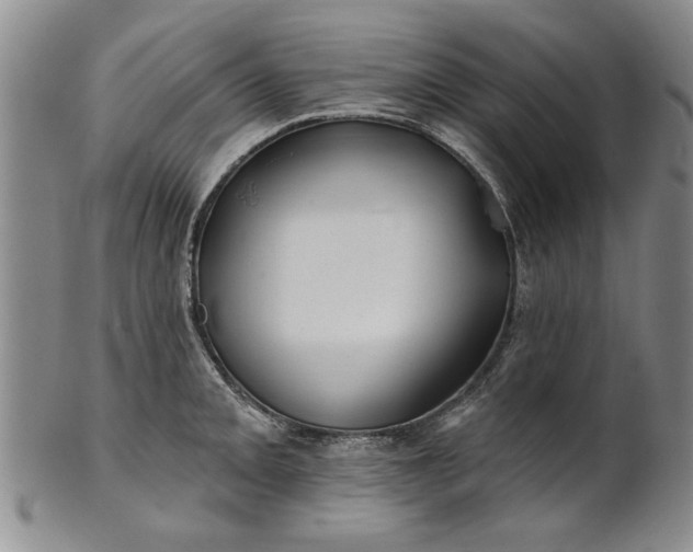 X0000100971093200807081213