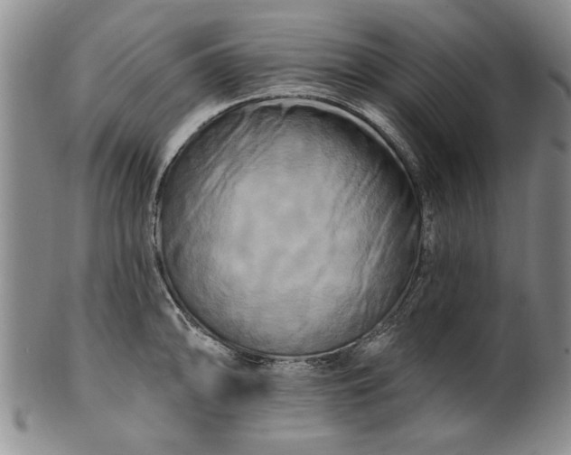 X0000100971094200807081213