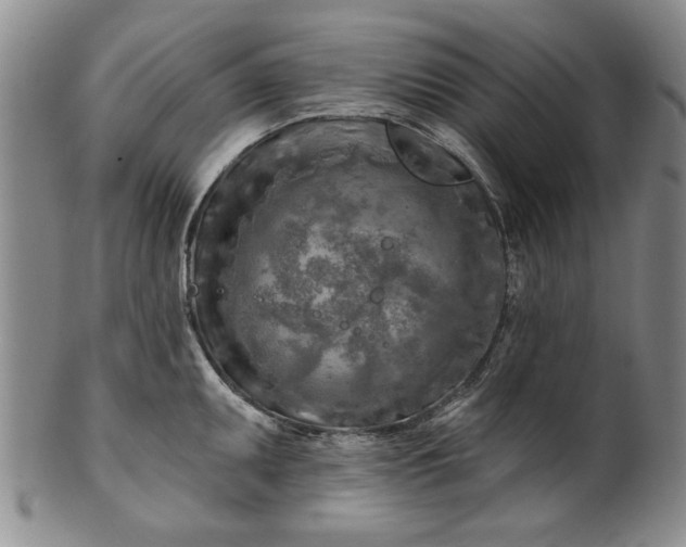 X0000100971095200807081213