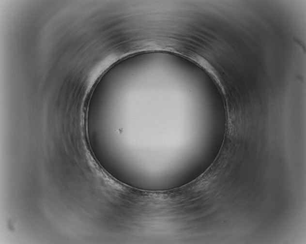 X0000100971096200807081213