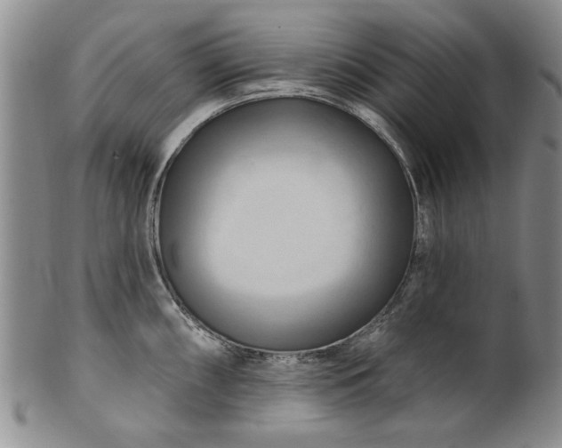 X0000100971098200807081213