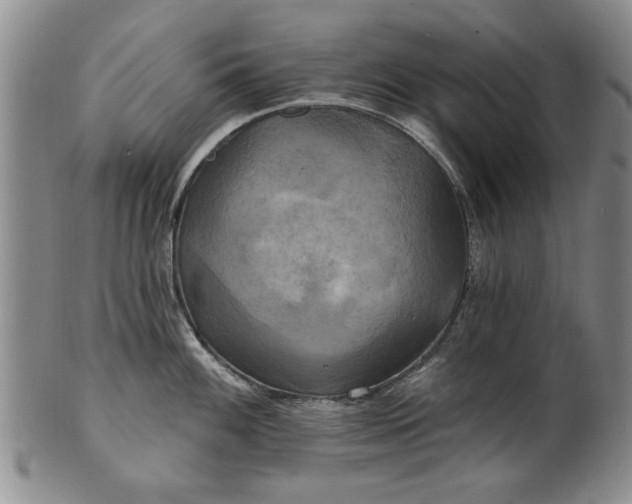 X0000100971100200807081213