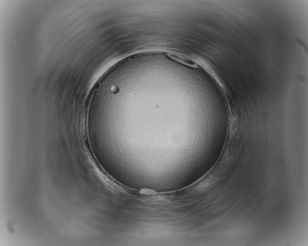 X0000100971101200807081213