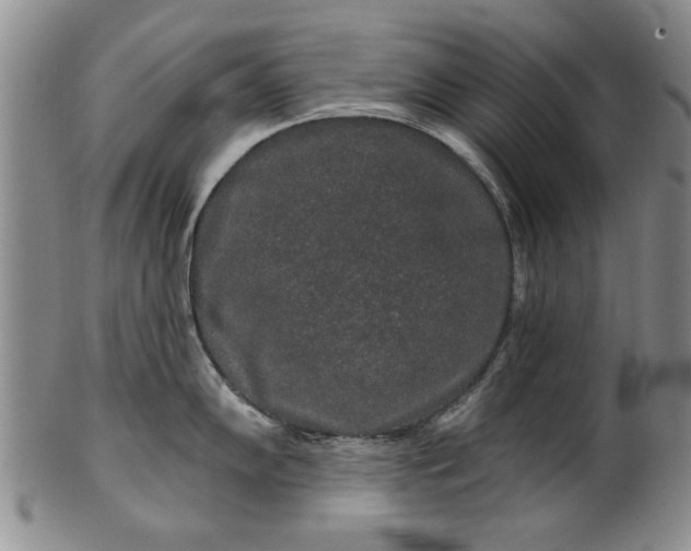 X0000100971102200807081213