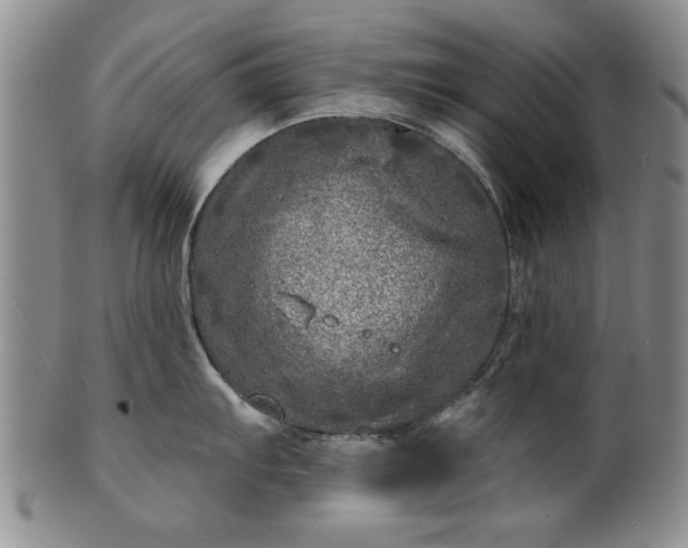 X0000100971103200807081213