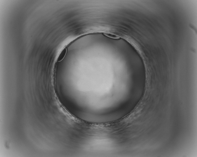 X0000100971104200807081213