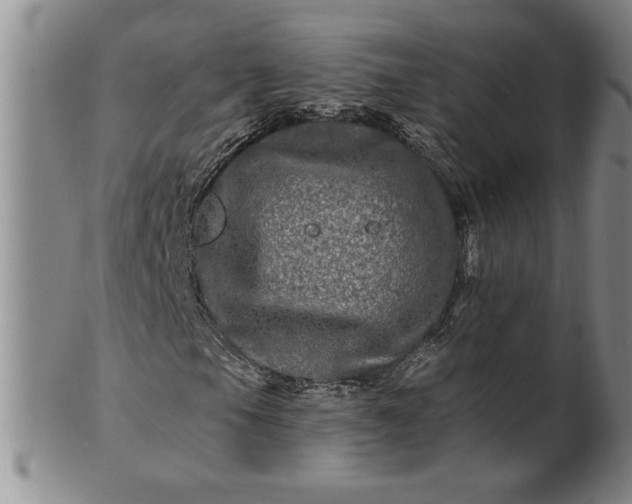X0000100971105200807081212