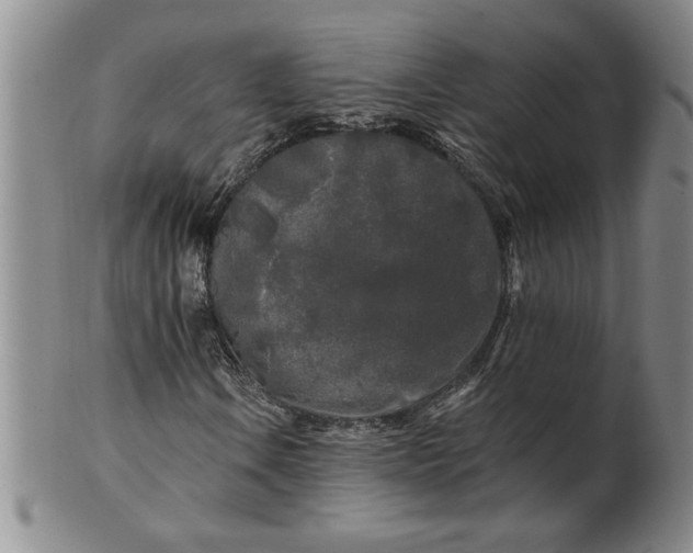 X0000100971106200807081212