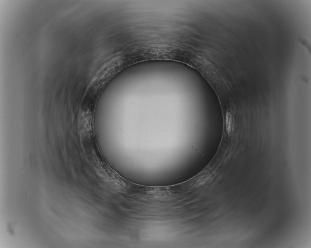 X0000100971107200807081212