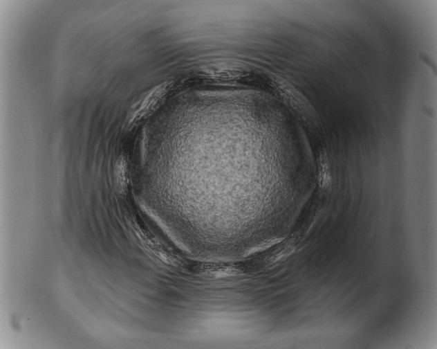 X0000100971108200807081212