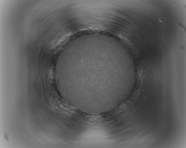 X0000100971110200807081212