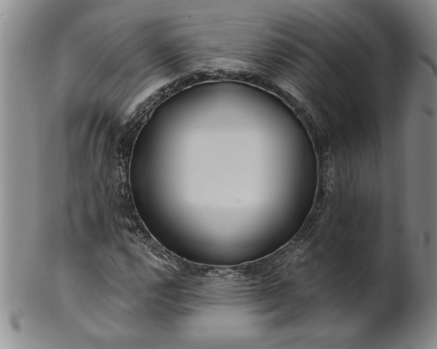 X0000100971112200807081212
