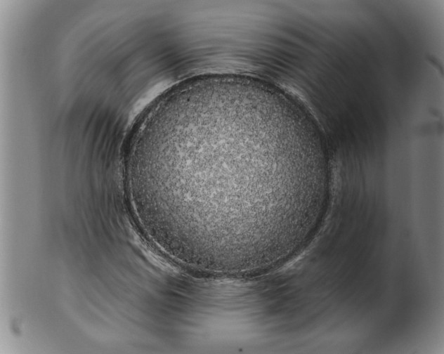 X0000100971114200807081212