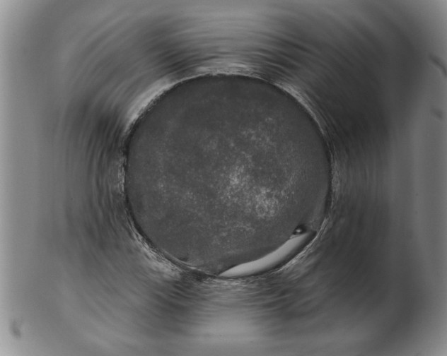 X0000100971115200807081212