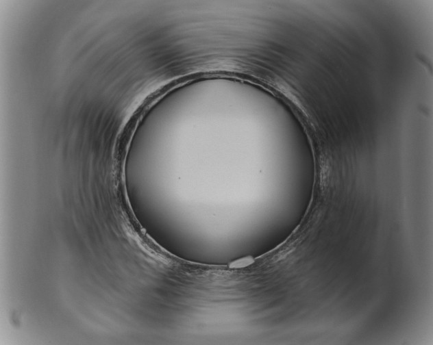 X0000100971116200807081212