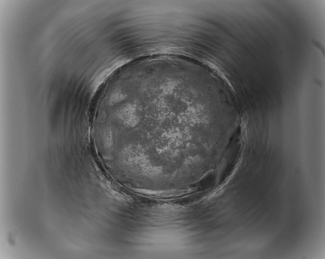 X0000100971117200807081212