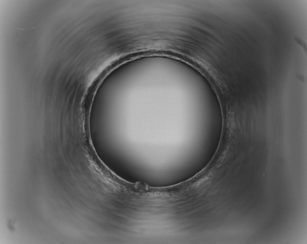 X0000100971118200807081212