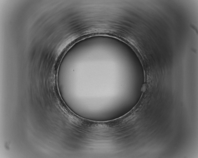 X0000100971119200807081212