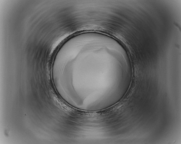 X0000100971120200807081212