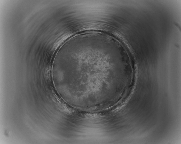 X0000100971121200807081212