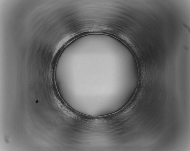 X0000100971122200807081212