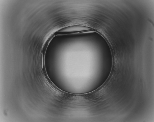 X0000100971123200807081212
