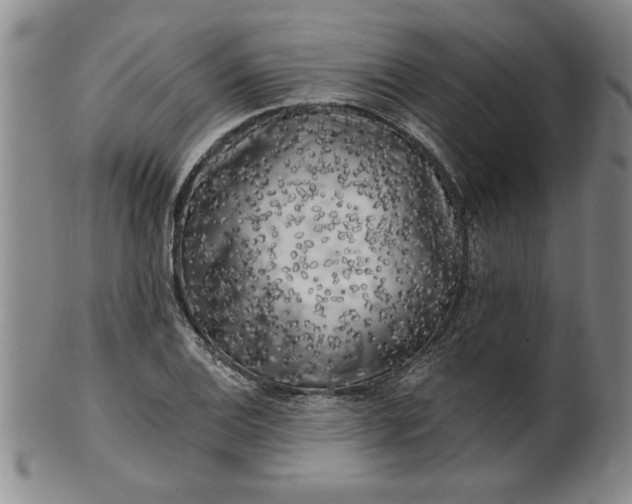 X0000100971124200807081212