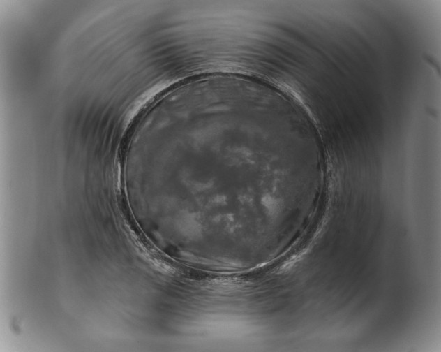 X0000100971125200807081212