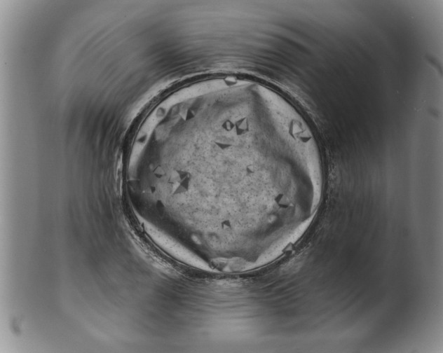 X0000100971126200807081212