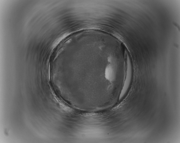 X0000100971127200807081212