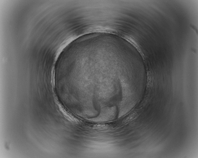 X0000100971128200807081212