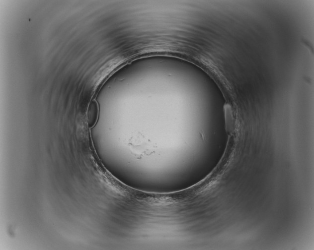 X0000100971129200807081212
