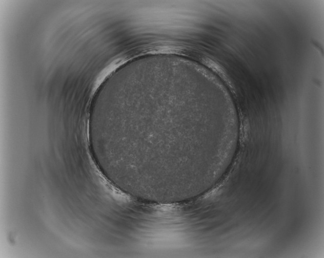 X0000100971130200807081212