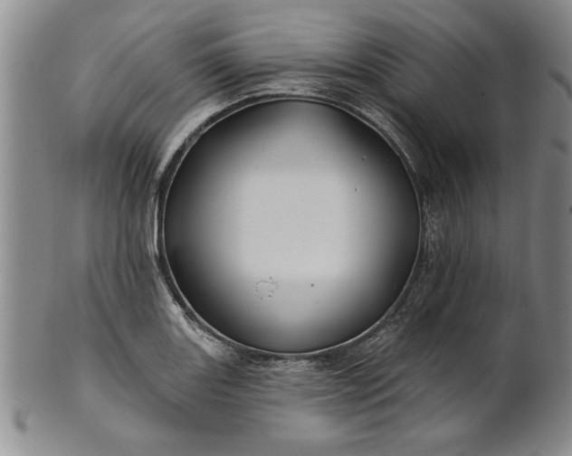 X0000100971131200807081212