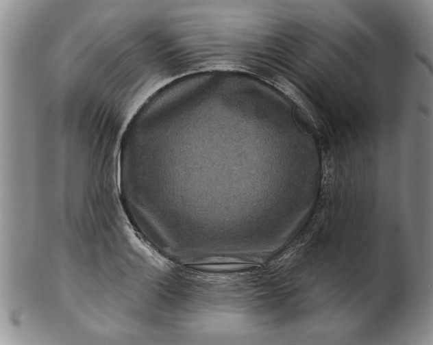 X0000100971132200807081212