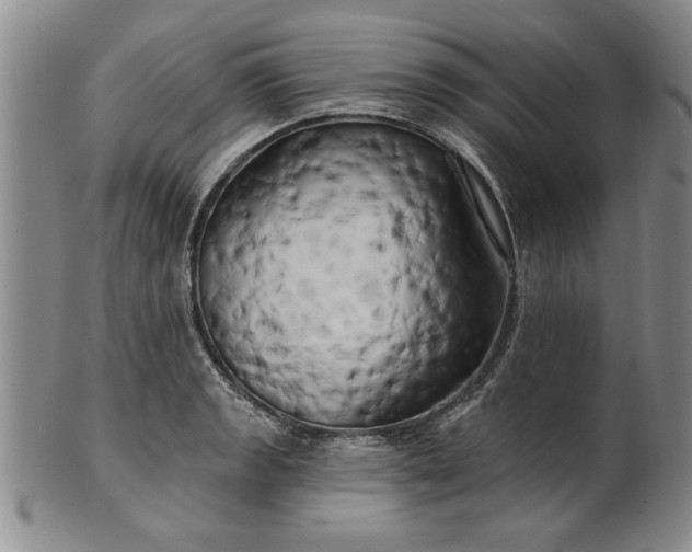 X0000100971133200807081213