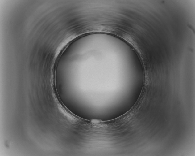 X0000100971136200807081213
