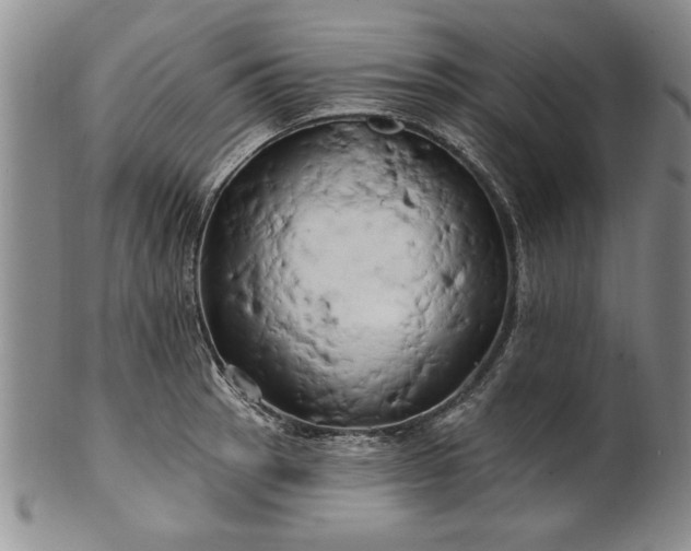 X0000100971137200807081213