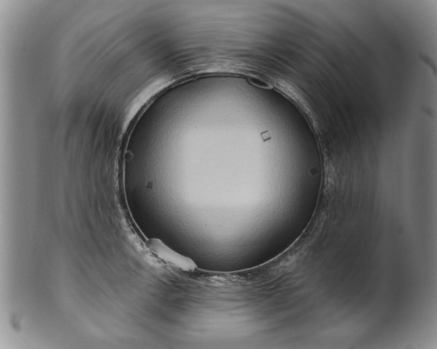 X0000100971138200807081213